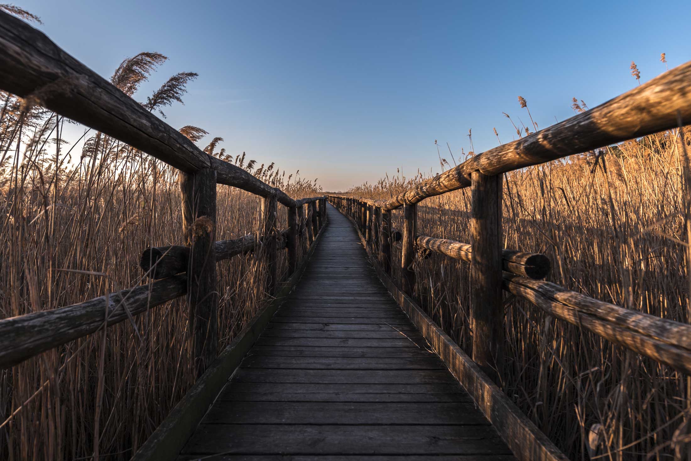 slide_tre_studio_psicologia_valdarno_arezzo